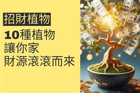 店面招財植物|讓財運滾滾來！5種店門口招財植物的選擇秘訣